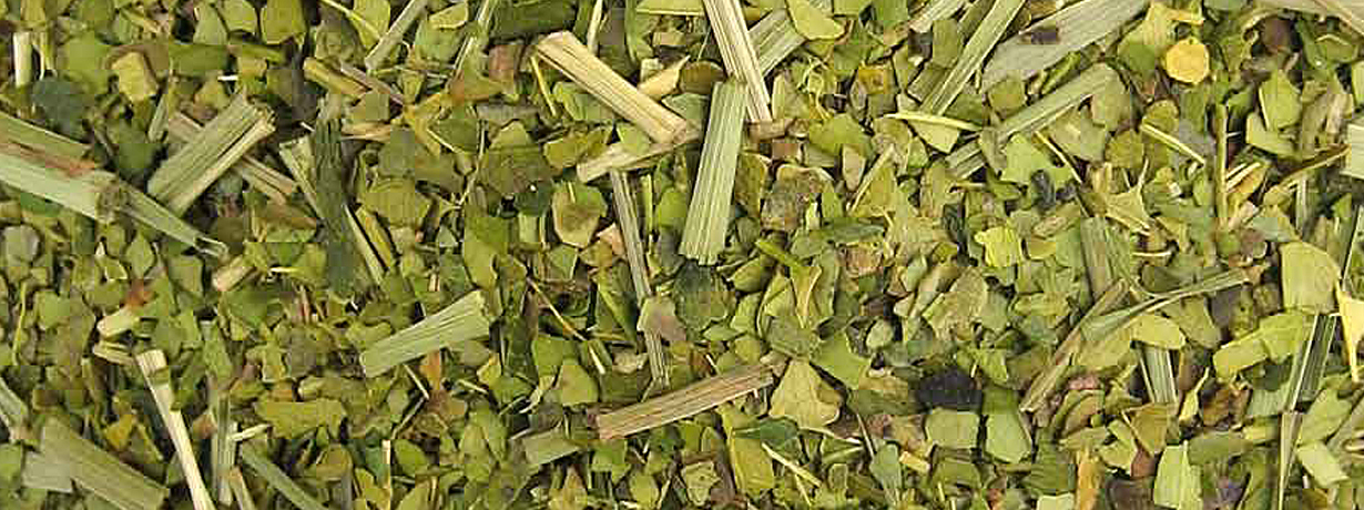 Mate-Tee