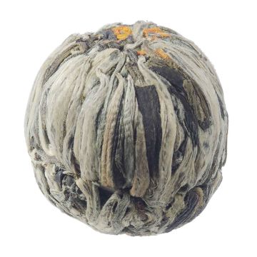 Teeblumen-Goldblume