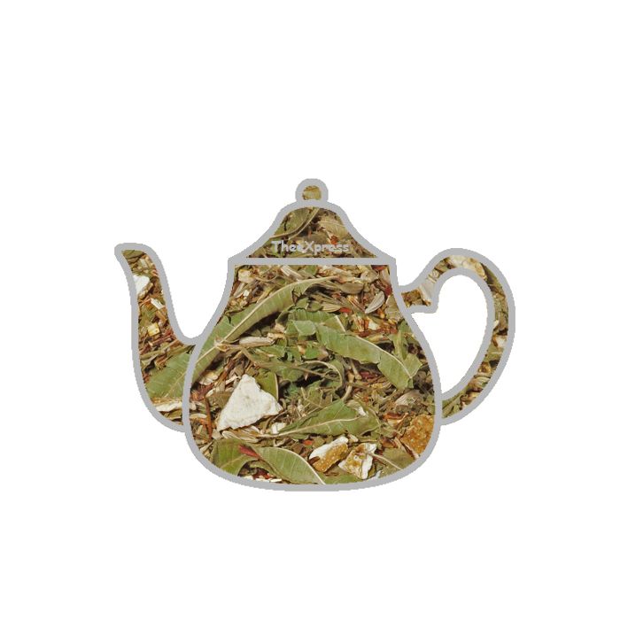 Grüner Rooibos-Orangen-Vanille-Tee Bio main product photo