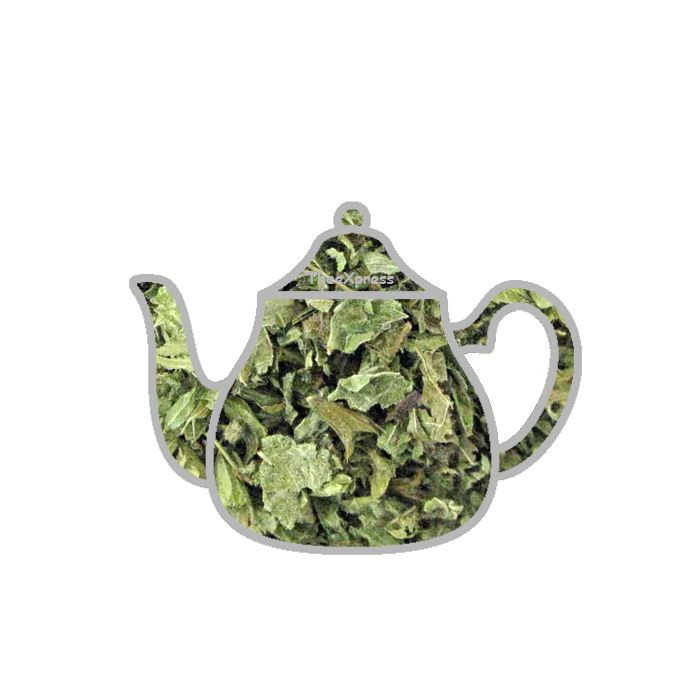 Brennnesseltee main product photo